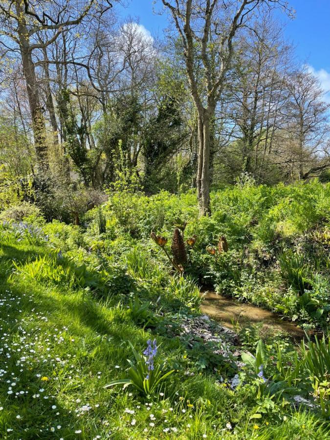 Beech Hut - A Streamside Family Escape Near Salcombe And Beaches South Milton Exterior photo